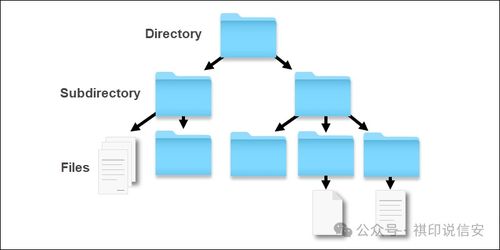 數據安全知識 零基礎入門到精通的存儲原理與安全防護全解析